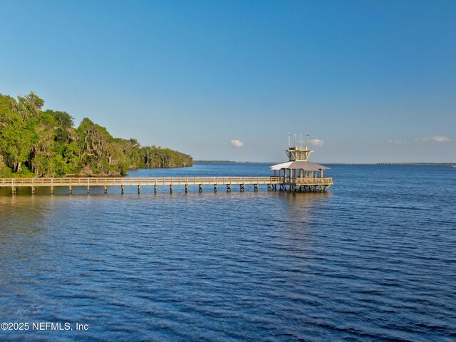 74 Quailberry Pl, Saint Johns, FL 32259 - photo 66