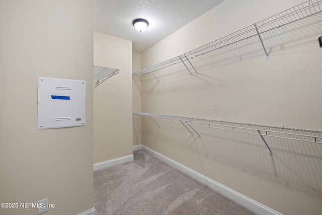 74 Quailberry Pl, Saint Johns, FL 32259 - photo 32