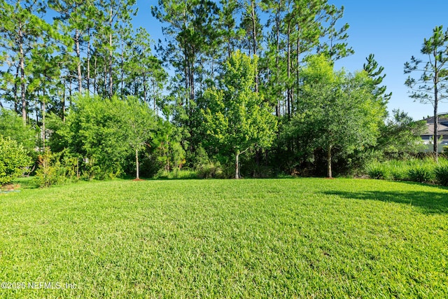 74 Quailberry Pl, Saint Johns, FL 32259 - photo 47
