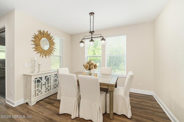 74 Quailberry Pl, Saint Johns, FL 32259 - photo 23