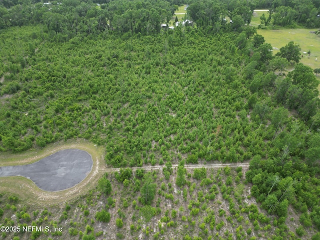 TBD 213th Ct, Live Oak, FL 32060