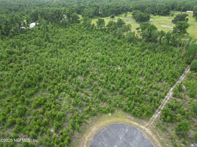 TBD 213th Ct, Live Oak, FL 32060