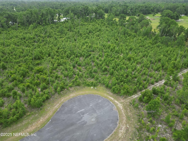 TBD 213th Ct, Live Oak, FL 32060