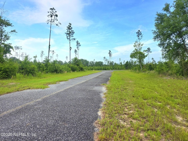 TBD 213th Ct, Live Oak, FL 32060