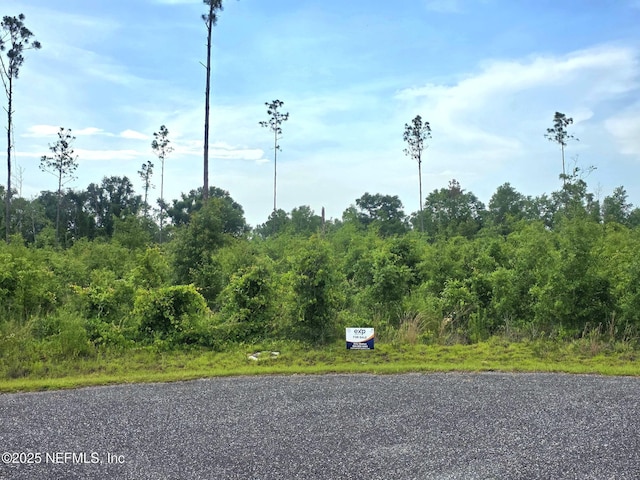 TBD 213th Ct, Live Oak, FL 32060