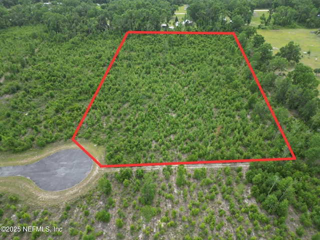 TBD 213th Ct, Live Oak, FL 32060