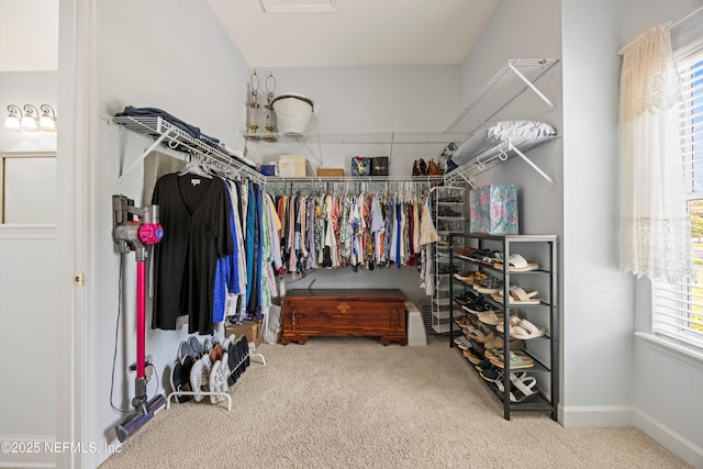 641 Donald Ross Way, Saint Augustine, FL 32092 - walk in closet with carpet