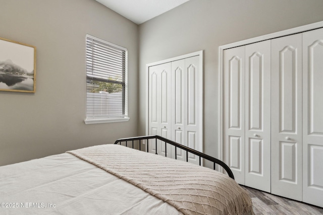 14220 Palmetto Springs St, Jacksonville, FL 32258 - bedroom with multiple closets and wood finished floors