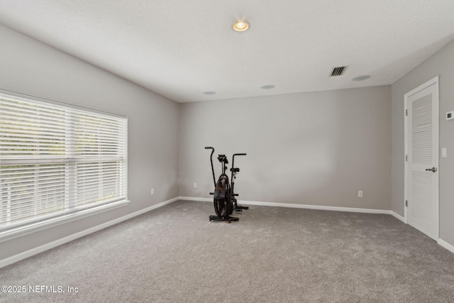 14220 Palmetto Springs St, Jacksonville, FL 32258 - exercise area featuring carpet