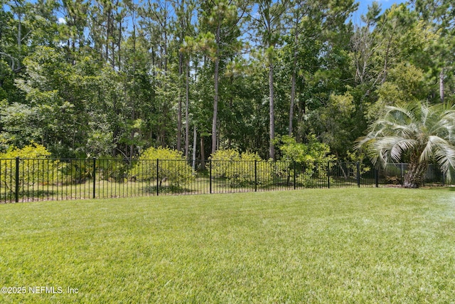 14220 Palmetto Springs St, Jacksonville, FL 32258 - view of yard
