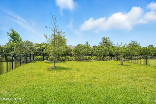 11130 Town View Ct, Jacksonville, FL 32256 - photo 25