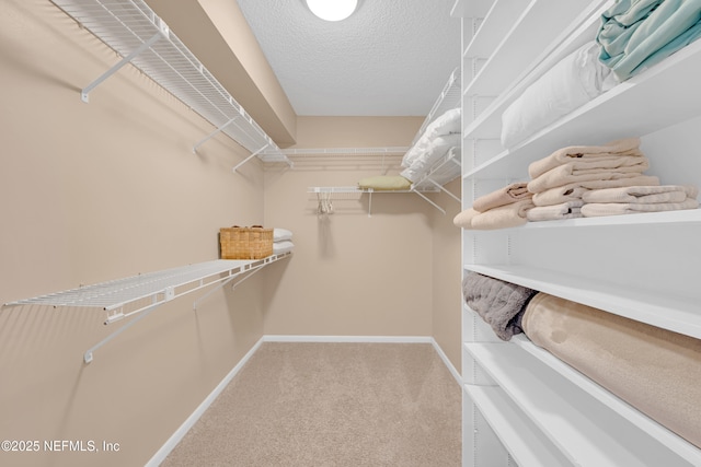 2947 S Ponte Vedra Blvd, Ponte Vedra Beach, FL 32082 - spacious closet with carpet floors