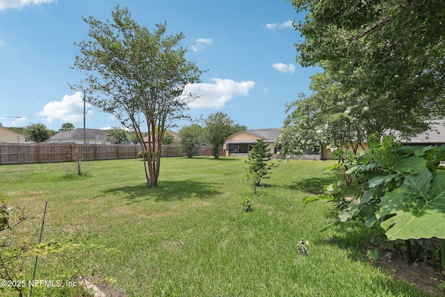 1262 The Grove Rd, Orange Park, FL 32073 - photo 29