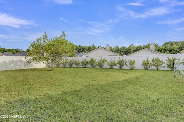 1908 Longneedle Ln, Middleburg, FL 32068 - view of yard