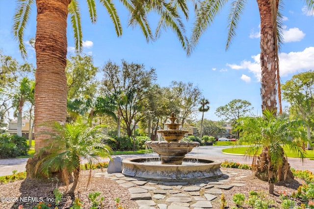 4000 Grande Vista Blvd Unit 15-206, Saint Augustine, FL 32084 - surrounding community