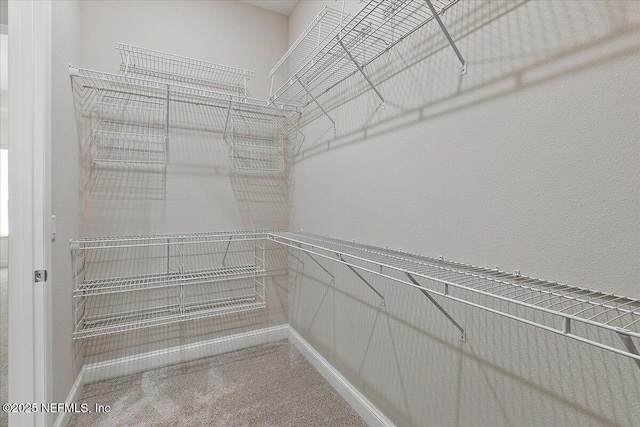 17 Derecho Ln, Saint Augustine, FL 32095 - spacious closet with carpet flooring