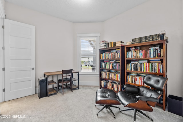 358 Quail Vista Dr, Ponte Vedra, FL 32081 - photo 27