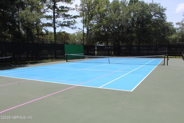 3003 Oatland Ct, Orange Park, FL 32065 - photo 29