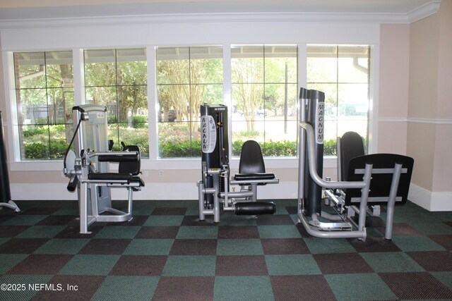 3003 Oatland Ct, Orange Park, FL 32065 - photo 33