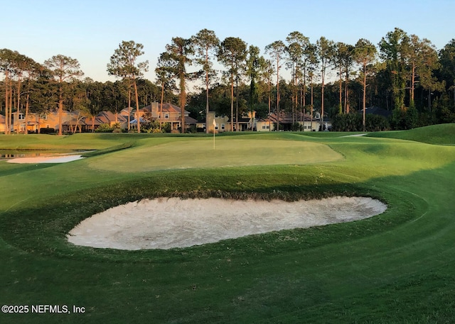 1441 Laurel Oak Dr, Fleming Island, FL 32003 - surrounding community featuring view of golf course, a residential view, and a yard