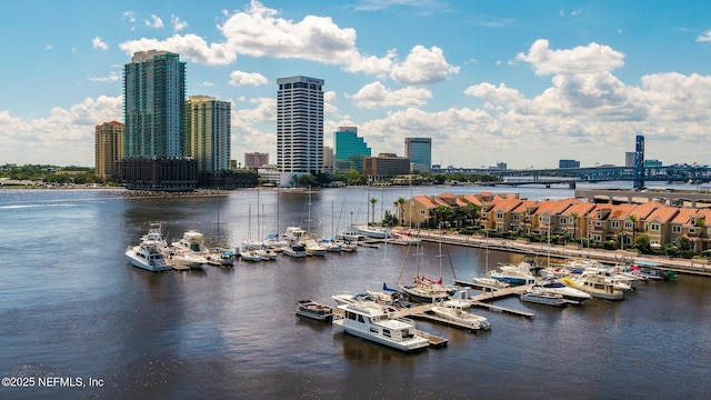 400 E Bay St Unit 401, Jacksonville, FL 32202 - water view with city skyline and a marina