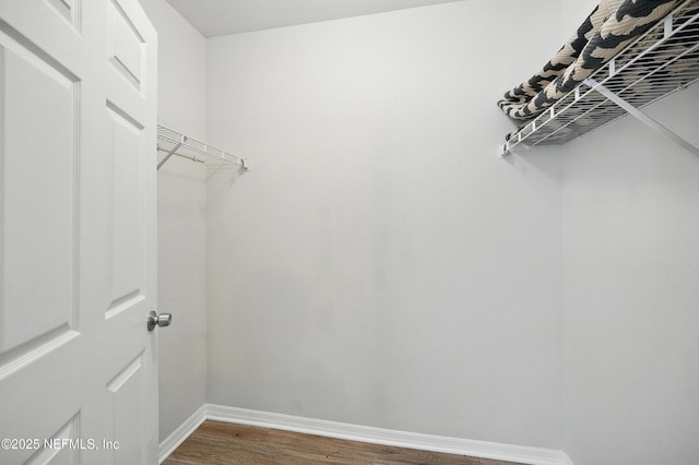 1800 The Greens Way Unit 603, Jacksonville Beach, FL 32250 - walk in closet with wood finished floors