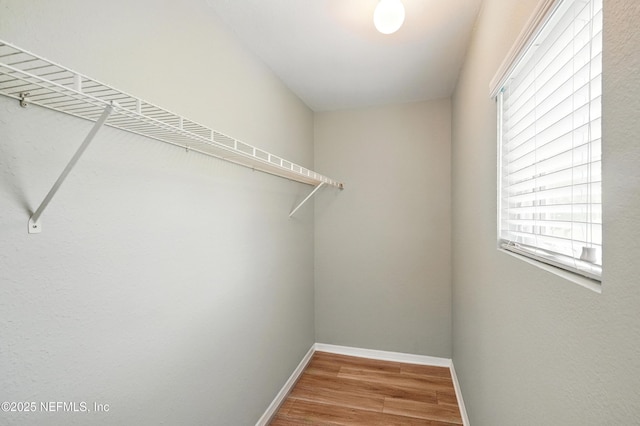 1800 The Greens Way Unit 603, Jacksonville Beach, FL 32250 - walk in closet with wood finished floors