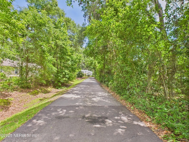 96168 High Pointe Dr, Fernandina Beach, FL 32034 - view of street