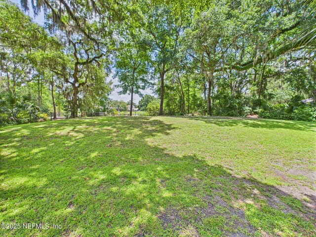96168 High Pointe Dr, Fernandina Beach, FL 32034 - view of grassy yard