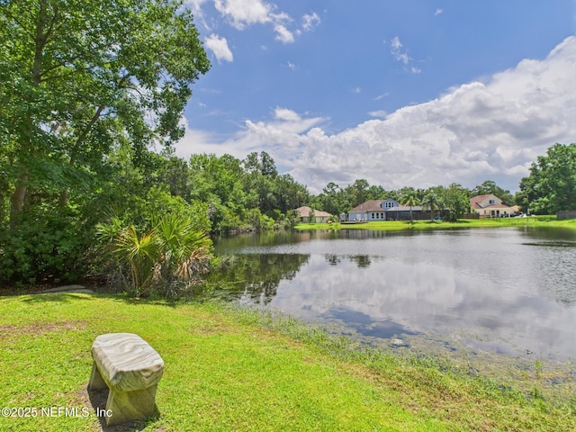 96168 High Pointe Dr, Fernandina Beach, FL 32034 - water view