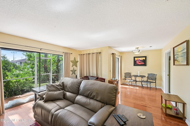 3960 A1A S Unit 505, Saint Augustine Beach, FL 32080 - living area featuring wood finished floors and a textured ceiling
