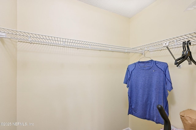 3960 A1A S Unit 505, Saint Augustine Beach, FL 32080 - view of spacious closet