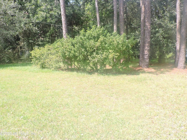 12556 Yellow Bluff Rd, Jacksonville, FL 32226 - photo 2
