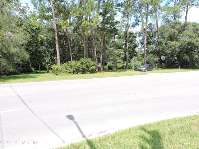 12556 Yellow Bluff Rd, Jacksonville, FL 32226 - photo 3