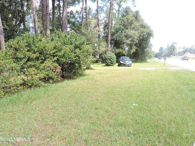 12556 Yellow Bluff Rd, Jacksonville, FL 32226 - photo 4