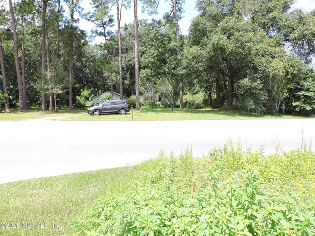 12556 Yellow Bluff Rd, Jacksonville, FL 32226 - photo 15