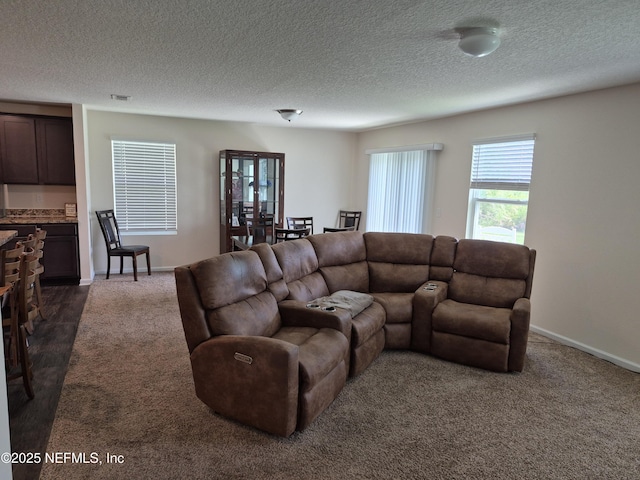 2420 Cold Stream Ln, Green Cove Springs, FL 32043 - living area with dark colored carpet, a textured ceiling, and baseboards