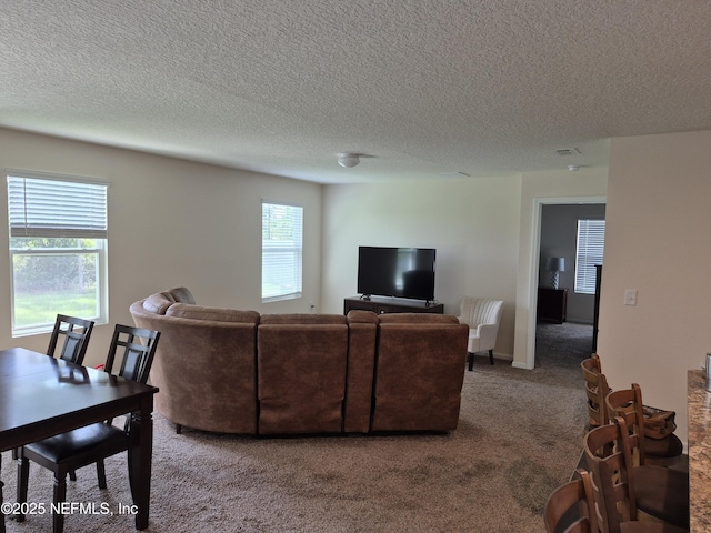 2420 Cold Stream Ln, Green Cove Springs, FL 32043 - living area featuring carpet and a textured ceiling