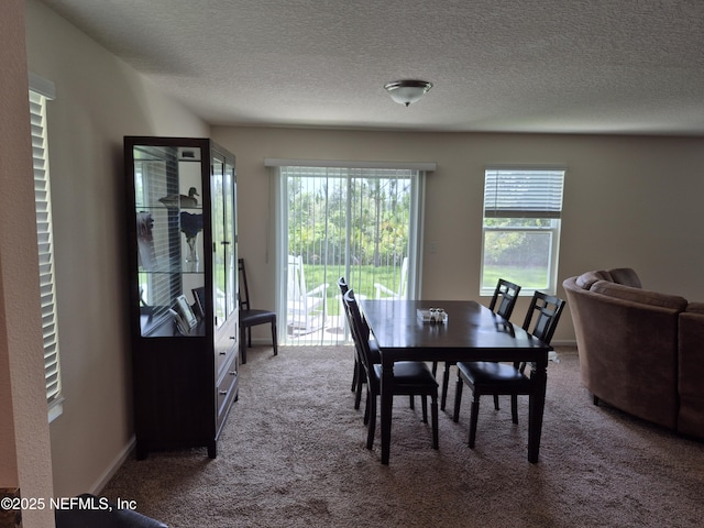 2420 Cold Stream Ln, Green Cove Springs, FL 32043 - carpeted dining area with a textured ceiling