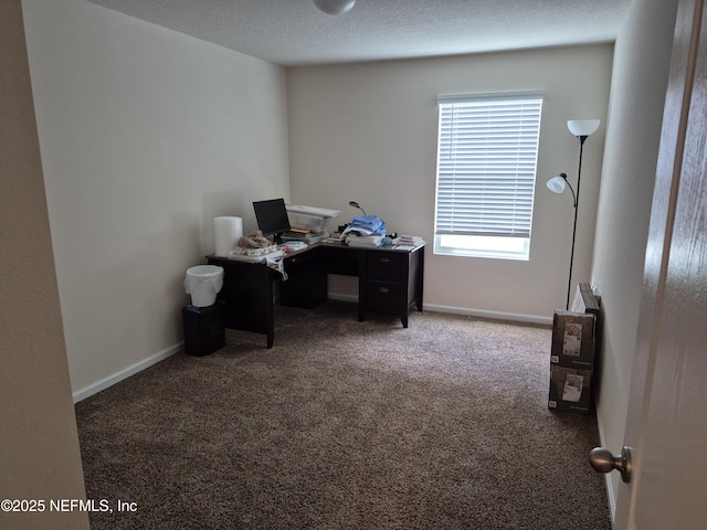 2420 Cold Stream Ln, Green Cove Springs, FL 32043 - office space featuring carpet flooring and baseboards