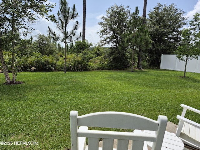 2420 Cold Stream Ln, Green Cove Springs, FL 32043 - view of yard