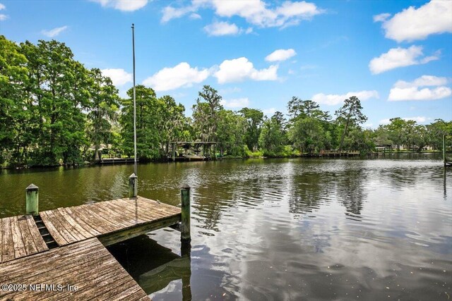 5527 Hyde Park Cir, Jacksonville, FL 32210 - photo 45