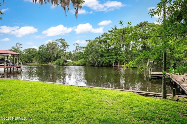5527 Hyde Park Cir, Jacksonville, FL 32210 - photo 43