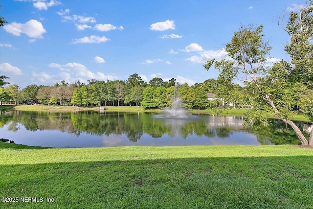8550 Argyle Business Loop Unit 406, Jacksonville, FL 32244 - water view