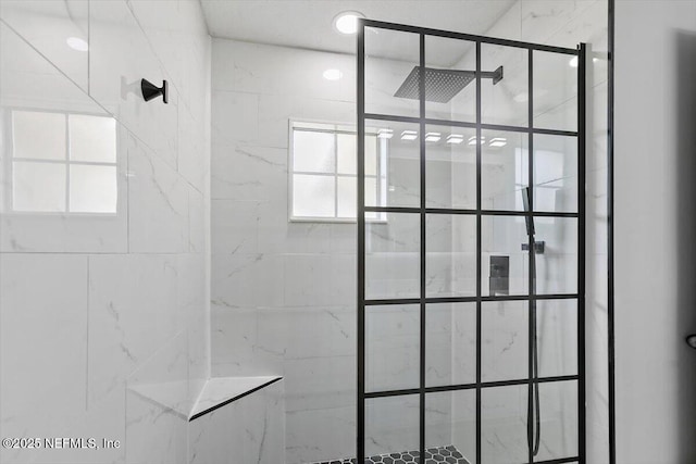 8550 Argyle Business Loop Unit 406, Jacksonville, FL 32244 - full bathroom with a stall shower