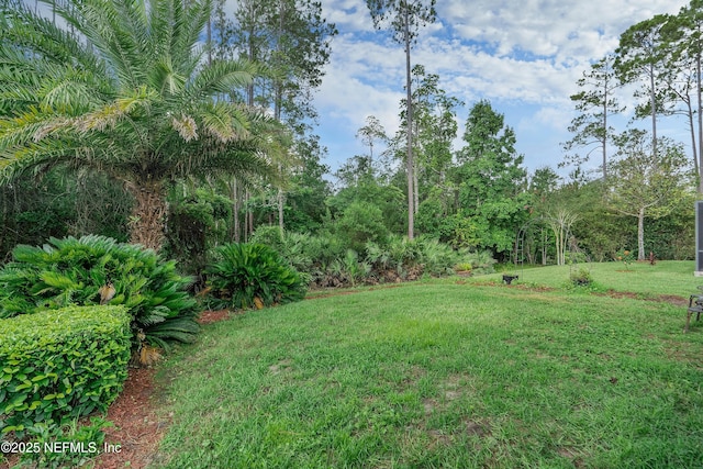 78 Wayfare Ln, Jacksonville, FL 32081 - photo 32