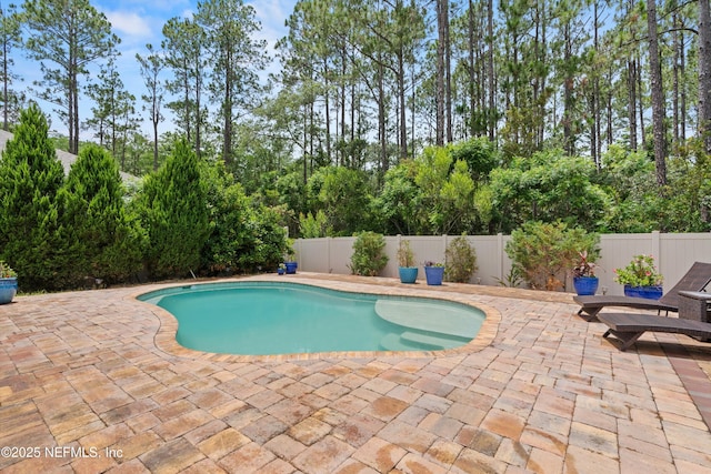 3024 Las Calinas Blvd, Saint Augustine, FL 32095 - view of pool with a patio area, a fenced backyard, and view of scattered trees