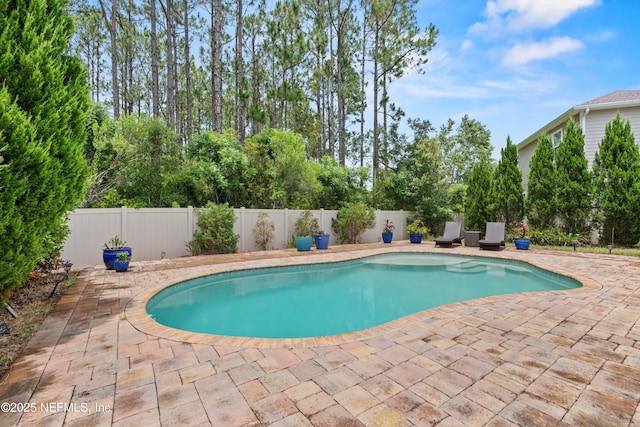 3024 Las Calinas Blvd, Saint Augustine, FL 32095 - view of swimming pool featuring a patio, a fenced backyard, and view of scattered trees