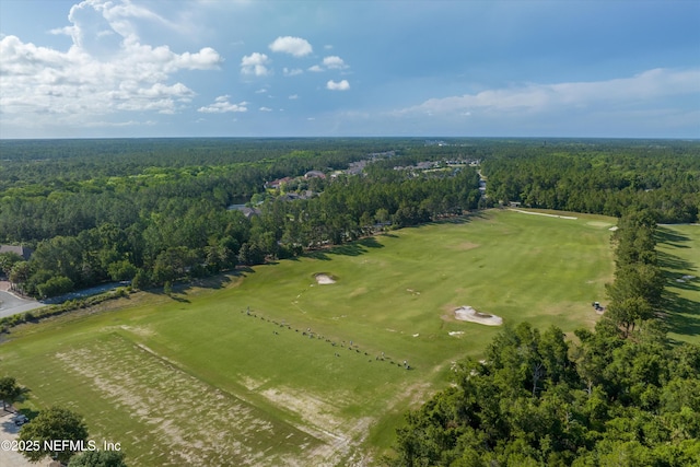 3024 Las Calinas Blvd, Saint Augustine, FL 32095 - bird's eye view of a forest