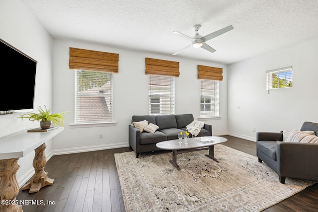 21 Mollusk Rd, Saint Johns, FL 32259 - living area featuring a textured ceiling, a ceiling fan, and dark wood-style floors